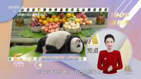 国产中文字幕在线免费观看